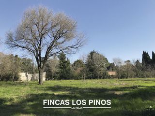 VENTA Lote 728 m2 Fincas Los Pinos - La Reja Sur