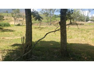 Foto 3 de venta lotes en parcelacion Ciudad Bolivar suroeste antioqueño