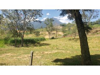 Foto 16 de venta lotes en parcelacion Ciudad Bolivar suroeste antioqueño