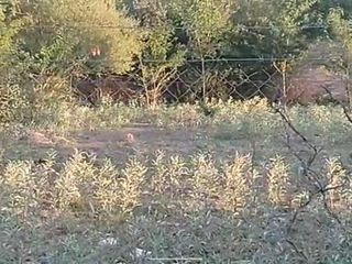 Terrenos en venta - 440Mts2 - San Vicente