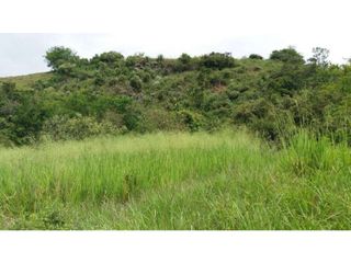 Foto 18 de VENDE EXCELENTE FINCA AGROGANADERA EN BUGA