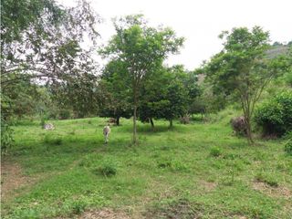 VENDE EXCELENTE FINCA AGROGANADERA EN BUGA