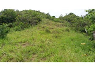 Foto 1 de VENDE EXCELENTE FINCA AGROGANADERA EN BUGA