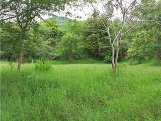 Foto 2 de VENDE EXCELENTE FINCA AGROGANADERA EN BUGA