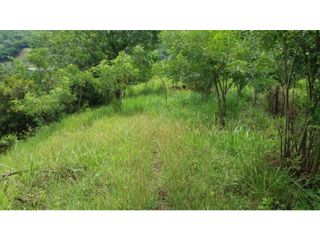Foto 19 de VENDE EXCELENTE FINCA AGROGANADERA EN BUGA