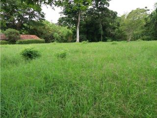 Foto 11 de VENDE EXCELENTE FINCA AGROGANADERA EN BUGA
