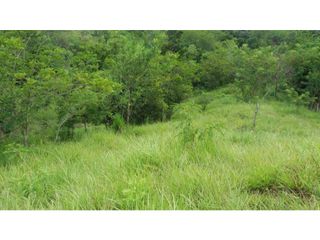 Foto 20 de VENDE EXCELENTE FINCA AGROGANADERA EN BUGA