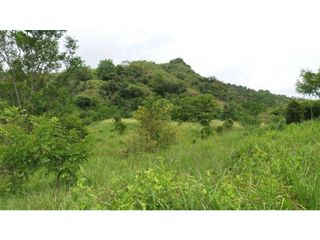 Foto 13 de VENDE EXCELENTE FINCA AGROGANADERA EN BUGA