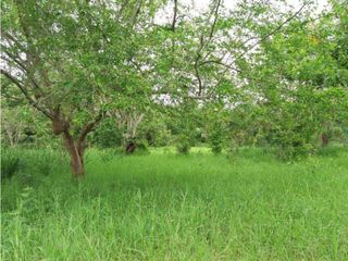 Foto 5 de VENDE EXCELENTE FINCA AGROGANADERA EN BUGA