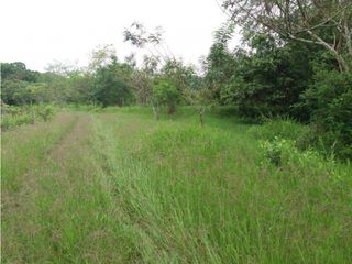 Foto 4 de VENDE EXCELENTE FINCA AGROGANADERA EN BUGA