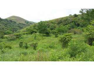 Foto 17 de VENDE EXCELENTE FINCA AGROGANADERA EN BUGA