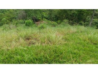 Foto 9 de VENDE EXCELENTE FINCA AGROGANADERA EN BUGA