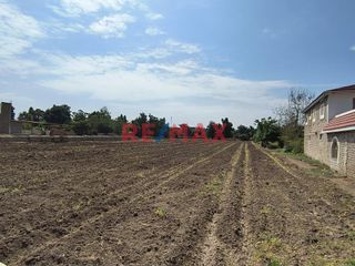 Foto 9 de 🌱 ¡OPORTUNIDAD ÚNICA PARA INVERSIONISTAS! 🌾

Se vende exclusivo terreno agrícola en la próspera zona de Viru, Virú, perfecto para desarrollar tu pro