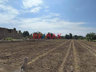Foto 8 de 🌱 ¡OPORTUNIDAD ÚNICA PARA INVERSIONISTAS! 🌾

Se vende exclusivo terreno agrícola en la próspera zona de Viru, Virú, perfecto para desarrollar tu pro