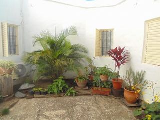 Foto 10 de Matienzo, impecable propiedad con pileta +departamento. NUEVO PRECIO PROXIMA A SER APPTA CREDITO BANCOR