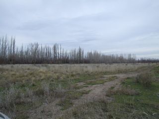 Foto 5 de Chacra doce Hectareas y media