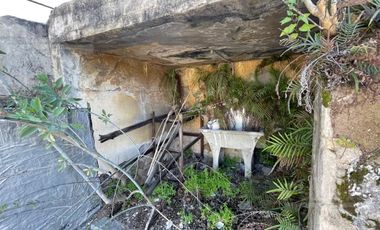 place photo 27