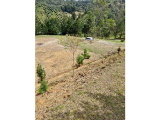 Foto 1 de Lote en Venta con Bosque y dos Explanaciones