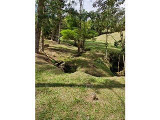 Foto 6 de Lote en Venta con Bosque y dos Explanaciones