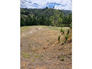 Foto 2 de Lote en Venta con Bosque y dos Explanaciones