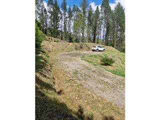 Foto 3 de Lote en Venta con Bosque y dos Explanaciones