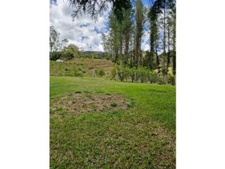 Foto 4 de Lote en Venta con Bosque y dos Explanaciones
