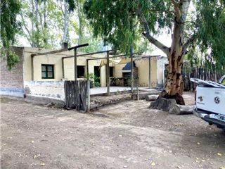 Foto 4 de INMOBILIARIA MENDOKEY VENDE FINCA 50HAS EN LA DORMIDA, SANTA ROSA-MZA.