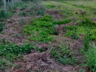 Foto 5 de VENDO TERRENO EN APOSTOLES MISIONES