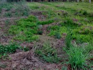 Foto 3 de VENDO TERRENO EN APOSTOLES MISIONES