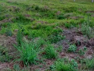 Foto 6 de VENDO TERRENO EN APOSTOLES MISIONES