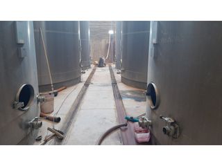 Foto 9 de BODEGA Y VIÑEDOS EN VENTA EN MENDOZA