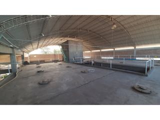 Foto 15 de BODEGA Y VIÑEDOS EN VENTA EN MENDOZA