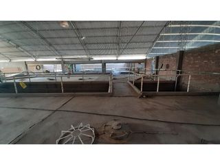 Foto 14 de BODEGA Y VIÑEDOS EN VENTA EN MENDOZA