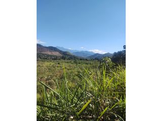 Foto 13 de TERRENOS AGRCOLAS PARA SIEMBRA O PROYECTO RECREATIVO EN CHANCHAMAYO