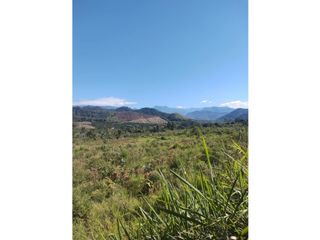Foto 15 de TERRENOS AGRCOLAS PARA SIEMBRA O PROYECTO RECREATIVO EN CHANCHAMAYO