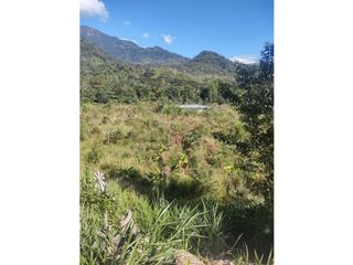 Foto 8 de TERRENOS AGRCOLAS PARA SIEMBRA O PROYECTO RECREATIVO EN CHANCHAMAYO