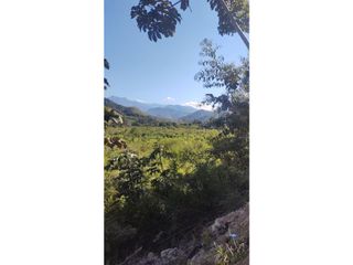 Foto 5 de TERRENOS AGRCOLAS PARA SIEMBRA O PROYECTO RECREATIVO EN CHANCHAMAYO