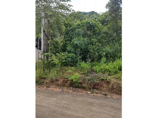 Foto 16 de TERRENOS AGRCOLAS PARA SIEMBRA O PROYECTO RECREATIVO EN CHANCHAMAYO