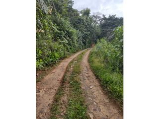 Foto 14 de TERRENOS AGRCOLAS PARA SIEMBRA O PROYECTO RECREATIVO EN CHANCHAMAYO
