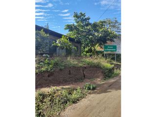 Foto 1 de TERRENOS AGRCOLAS PARA SIEMBRA O PROYECTO RECREATIVO EN CHANCHAMAYO