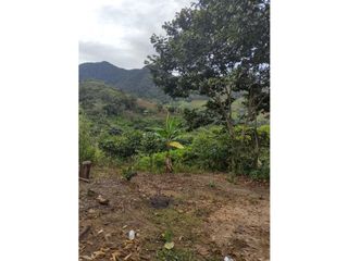 Foto 12 de TERRENOS AGRCOLAS PARA SIEMBRA O PROYECTO RECREATIVO EN CHANCHAMAYO