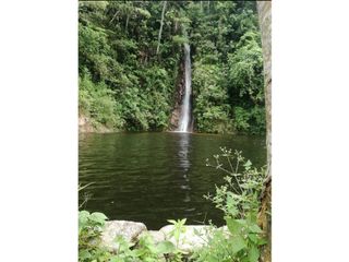 Foto 10 de TERRENOS AGRCOLAS PARA SIEMBRA O PROYECTO RECREATIVO EN CHANCHAMAYO