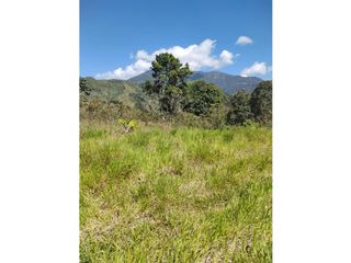 Foto 7 de TERRENOS AGRCOLAS PARA SIEMBRA O PROYECTO RECREATIVO EN CHANCHAMAYO