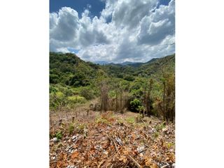 Venta de lotes campestres en el sector de Tigrera – Santa Marta