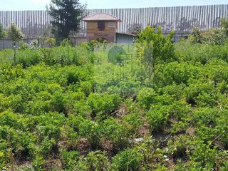 Foto 1 de Lindo terreno en venta en urbanización privada en Tabacundo