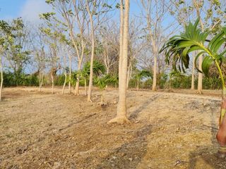 Foto 10 de lote en venta en san antero cordoba. Cod V12091