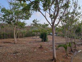 Foto 7 de lote en venta en san antero cordoba. Cod V12091