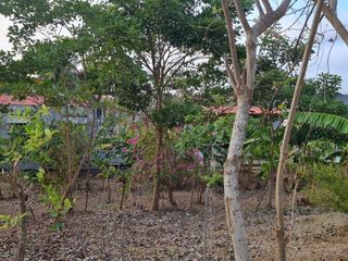 Foto 1 de lote en venta en san antero cordoba. Cod V12091