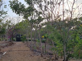 Foto 4 de lote en venta en san antero cordoba. Cod V12091