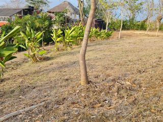 Foto 14 de lote en venta en san antero cordoba. Cod V12091